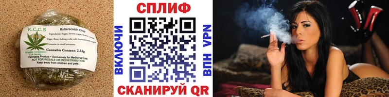 Cannafood конопля  Рыльск 