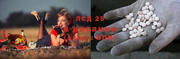 кокс Аркадак