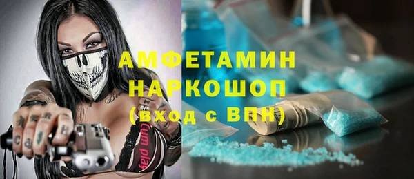 прущие грибы Приозерск