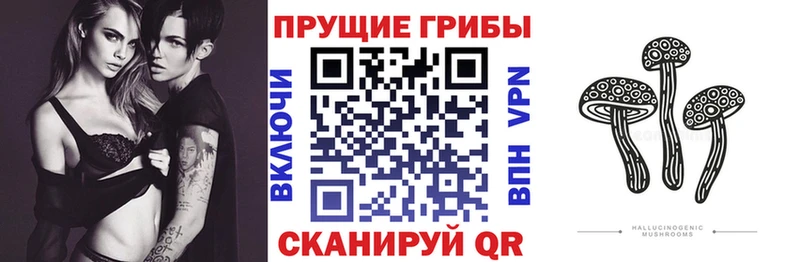 Псилоцибиновые грибы мухоморы Рыльск
